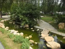 连大文润金宸一二期 2室1厅 南 北