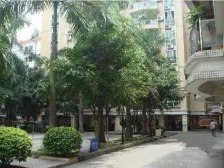 房屋方正,座向南向,出入方便。