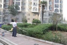世界观两房出门地铁口有钥匙急售看房方便