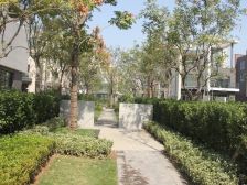 精装平层东边户,纯南向,纯新房