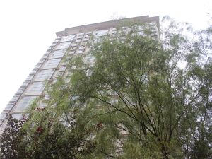 升龙广场旁 标准一室一厅 拎包入住 随时看 业主急售