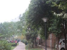 王城大道牡丹桥一线河景房全明户型领包入住精装修