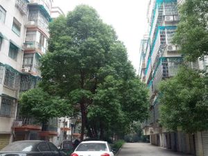 晶鑫小区2室2厅南