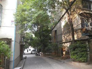 省百纺大院2室1厅南北