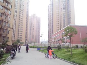 诚兴园2室1厅南