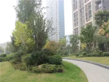 万达广场,世纪华阳大四室,通阳台,诚心卖