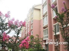 蓬莱新世界花园 2室1厅 南 北