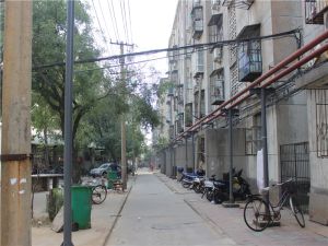 洛轴牡丹新村3室1厅南