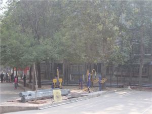 洛轴牡丹新村2室1厅北南