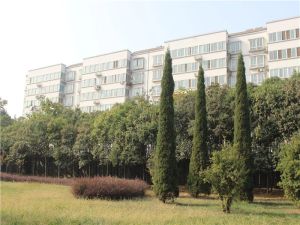 质量过关质监局家属院抗八级地震