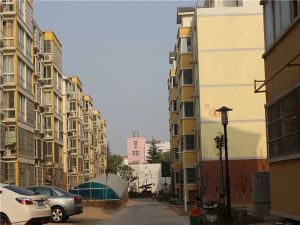 周山森林公园南门森林小区好楼层大三室