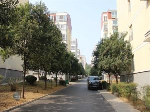 新上一楼带花院阳光房精装大四室