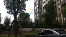 常熟老街七期书苑里三房南北通透有钥匙随时看房
