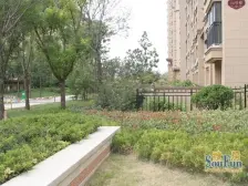 桦林颐和苑 一室一厅 不动产证