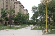 洋房全明通透,客厅主卧室都是落地窗,拎包入住带小棚