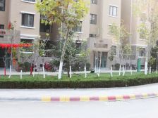 精装,房子的户型方方正正,采光好,