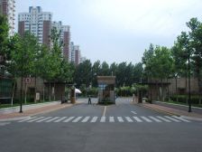 200万装修 全屋实木整装 一线海景 入住不到3年