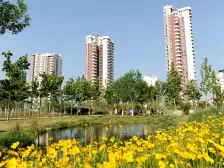 天马三期小公寓,南向采光好。价格合适看房方便。