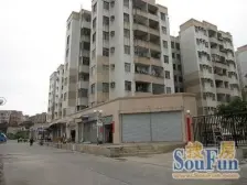 新城市广场,中高层方正2房,多停位绿化好安静舒适