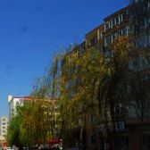 成熟社区,小区绿化环境好,环境雅致