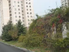 高新园区一室一厅,户型视野好无遮挡能看海