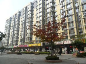 视野好,无遮挡,户型方正,精装楼下沃尔玛,诚心出售