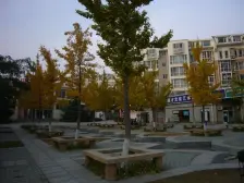 三期小户型 无抵押随时过户 低楼层 保持好