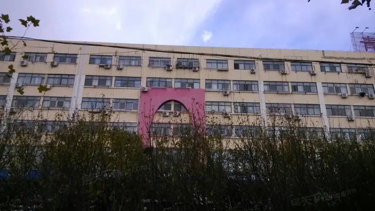 青春丽舍