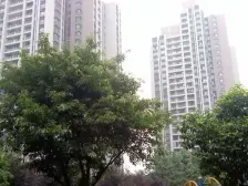 龙湖70年产权,装修好 南北通透格局,动静分离