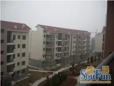 大方麓岛兰湾精装修 一楼带花园 轻轨旁 经典小户型