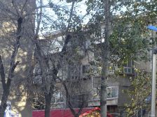 幸福南街2室1厅南北