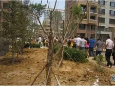 正源吉祥e家祥福园两室南向中间楼层保持好