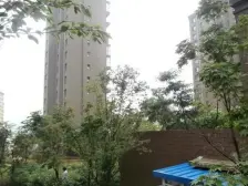 海尚明珠 1室1厅 南