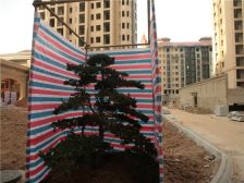 开元盛世纯南向两居室,婚房装修