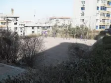 桃山街好位置,一楼带平台,三室无坡位置好,采光好