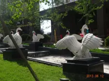 光线充足视野开阔.生活便利出行方便.