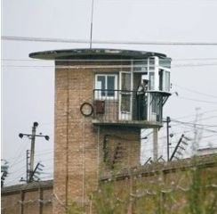 刀剪厂住宅小区3室1厅南