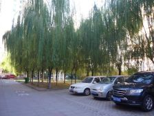 楼层好,采光充足,配套齐全,人群为高素质文明社区