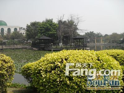 竹洲花园