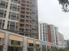 丹桂丽社 3室2厅 南