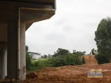 生长在植物园的大平层 保养好 高楼层