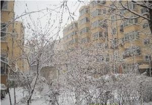学堂坡小区3室2厅南北