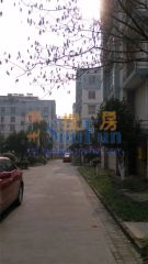 位于武康城中,交通便利,设施齐全