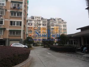 中兴花园3室2厅南
