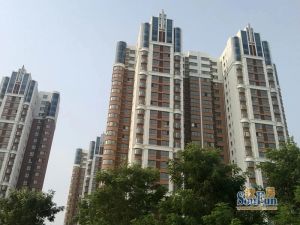 黄金家园3室1厅南北