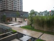 松湖春天精装7房带花园带地下室急售