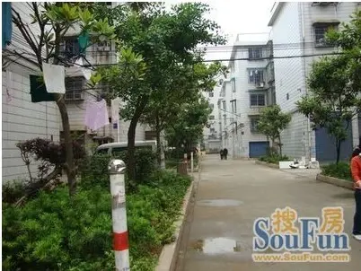 岳麓区建行单位房