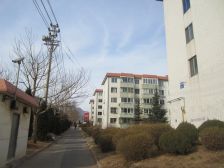 高泰里 精装修 南北通厅 视野好 看房方便