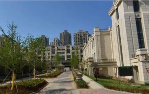 大华锦绣华公馆 南向房源 装修好 楼层好 值得考虑