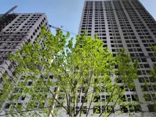 近西安路商圈,封闭小区,电梯高层,下楼有地铁